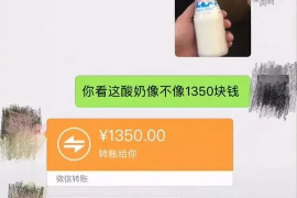 呼伦贝尔为什么选择专业追讨公司来处理您的债务纠纷？